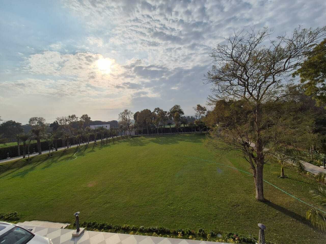 A grassy field with trees and a clear sky.