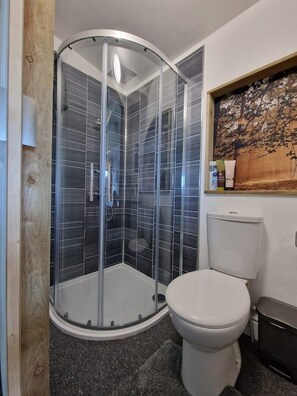 SĂšche-cheveux, serviettes fournies, savon, papier toilette