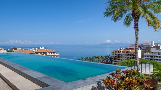 A resort pool with a clear view of the ocean and a palm tree. - Classy Studio in the heart of Zona Romántica! 1BD Studio for rent in Old Town, (Puerto Vallarta)