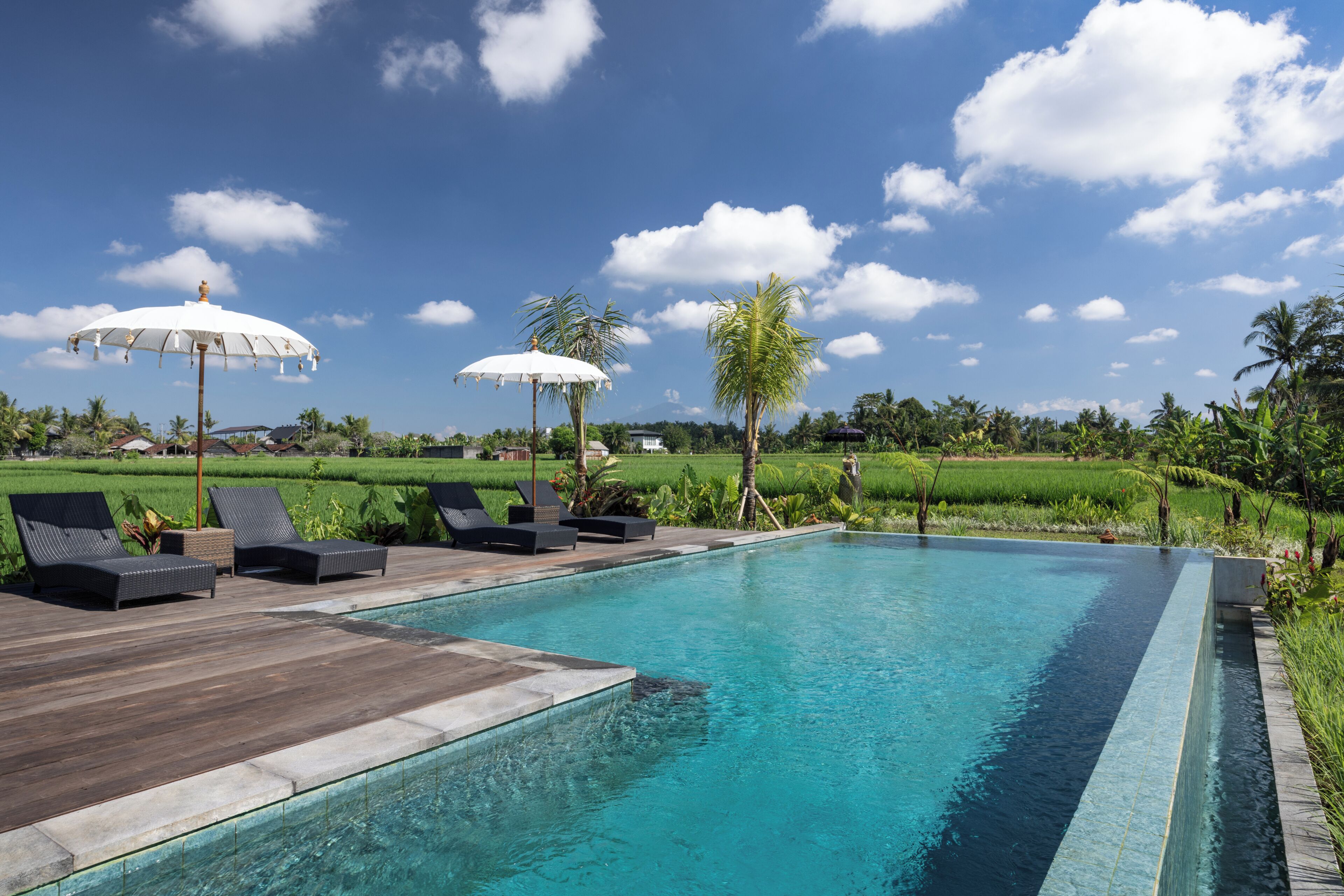 A pool with lounge chairs and umbrellas, surrounded by greenery and a clear sky.