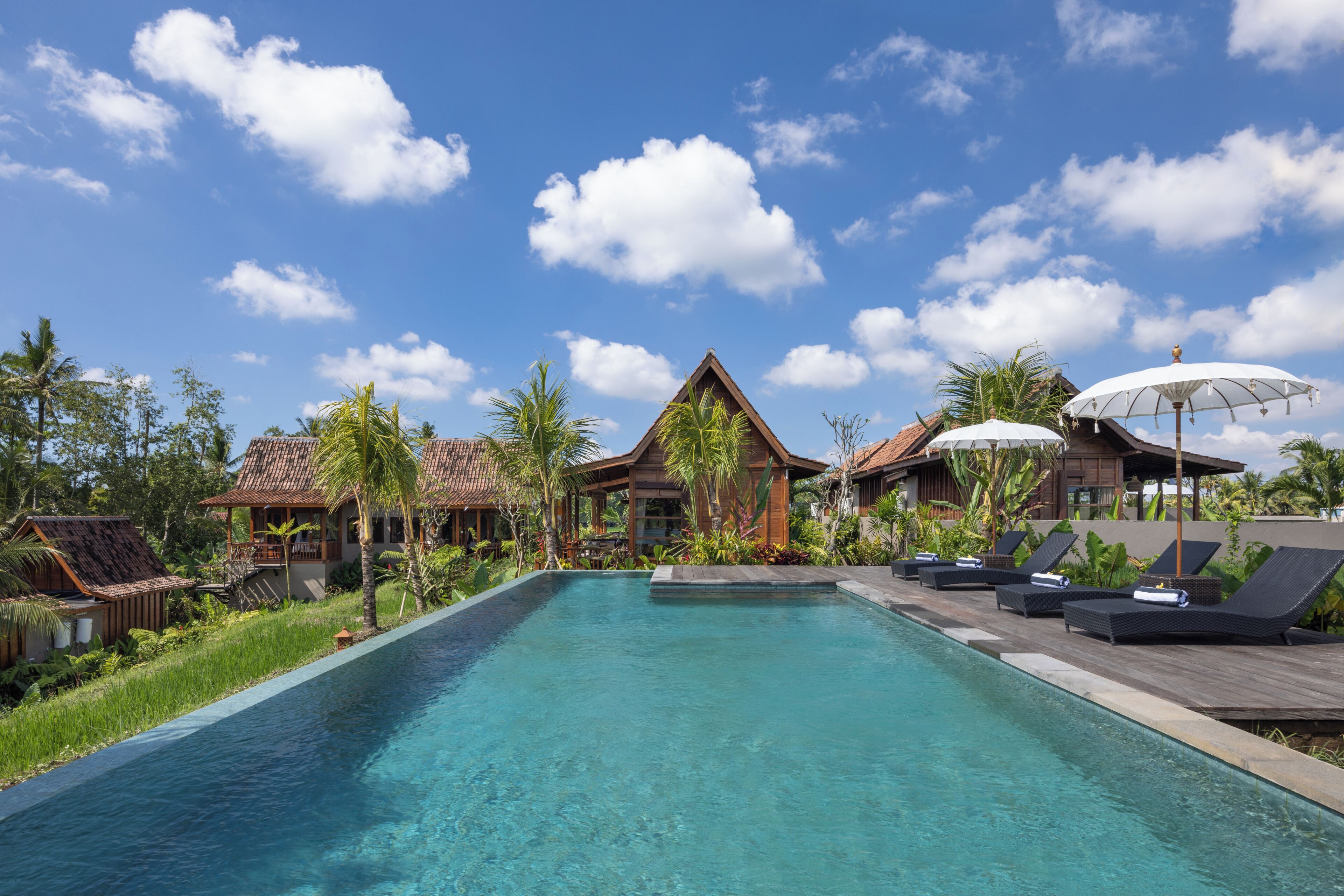 A swimming pool with lounge chairs and umbrellas, surrounded by tropical vegetation and wooden buildings.