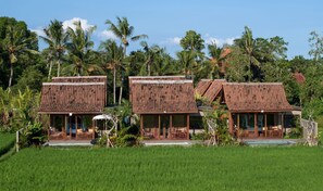 Paddies View Wooden Pool Villa with Free Shuttle to Ubud | View from room - Berlima Boutique Resort (Ubud)