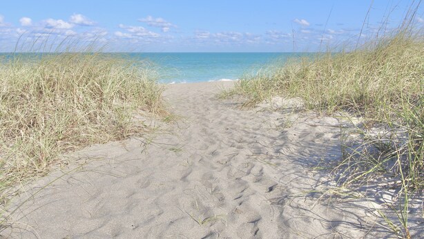 Een zandpad langs het strand, omringd door gras.