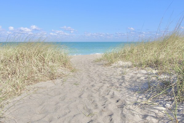 En la playa, toallas de playa, pesca