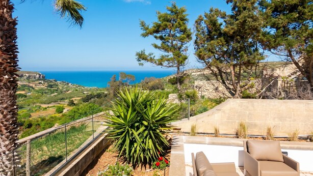 Eine Terrasse mit Blick auf das Meer, Gartenmöbel und eine große Pflanze.