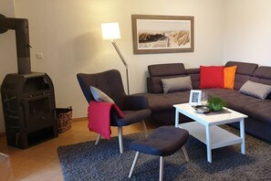 Smart TV, fireplace, books