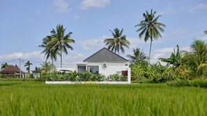 Una casa blanca con techo gris rodeada de campos verdes exuberantes y altas palmeras.