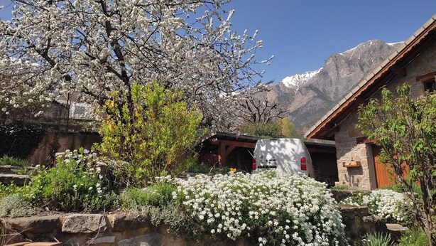 A stone building with a wooden roof, surrounded by blooming white flowers and a mountain backdrop.