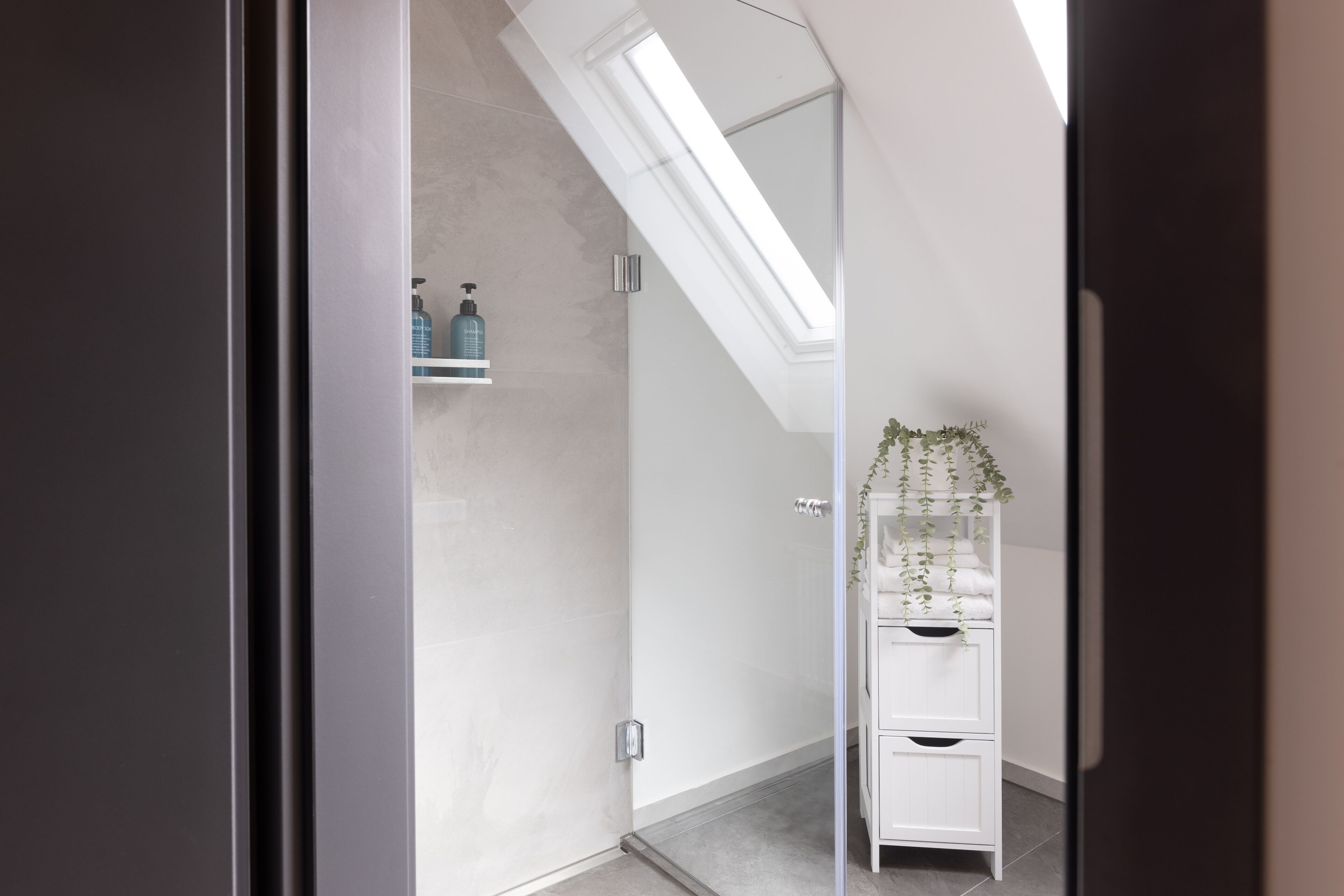 A modern bathroom with a glass shower enclosure, a white vanity with drawers, and a hanging plant.