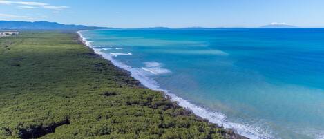 Vue aérienne d’une zone côtière caractérisée par une végétation luxuriante et une mer d’un bleu profond.
