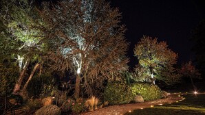A nighttime garden with illuminated trees and a paved walkway. - Villa Mimi (Sopron)