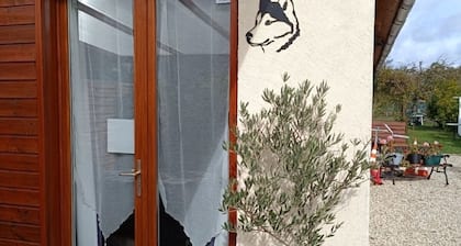 "Le Loup" Studios Indépendant de Plein Pied Avec Terrasse , Proche du Centre