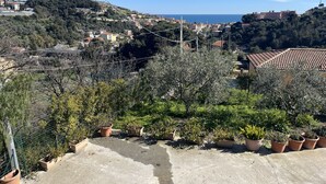 Un barrio residencial con casas, olivos y una vista despejada del mar.