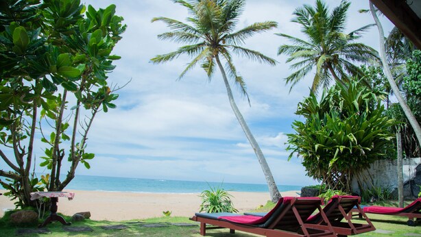 A beachside lounge area with palm trees, a sandy beach, and the ocean in the background.