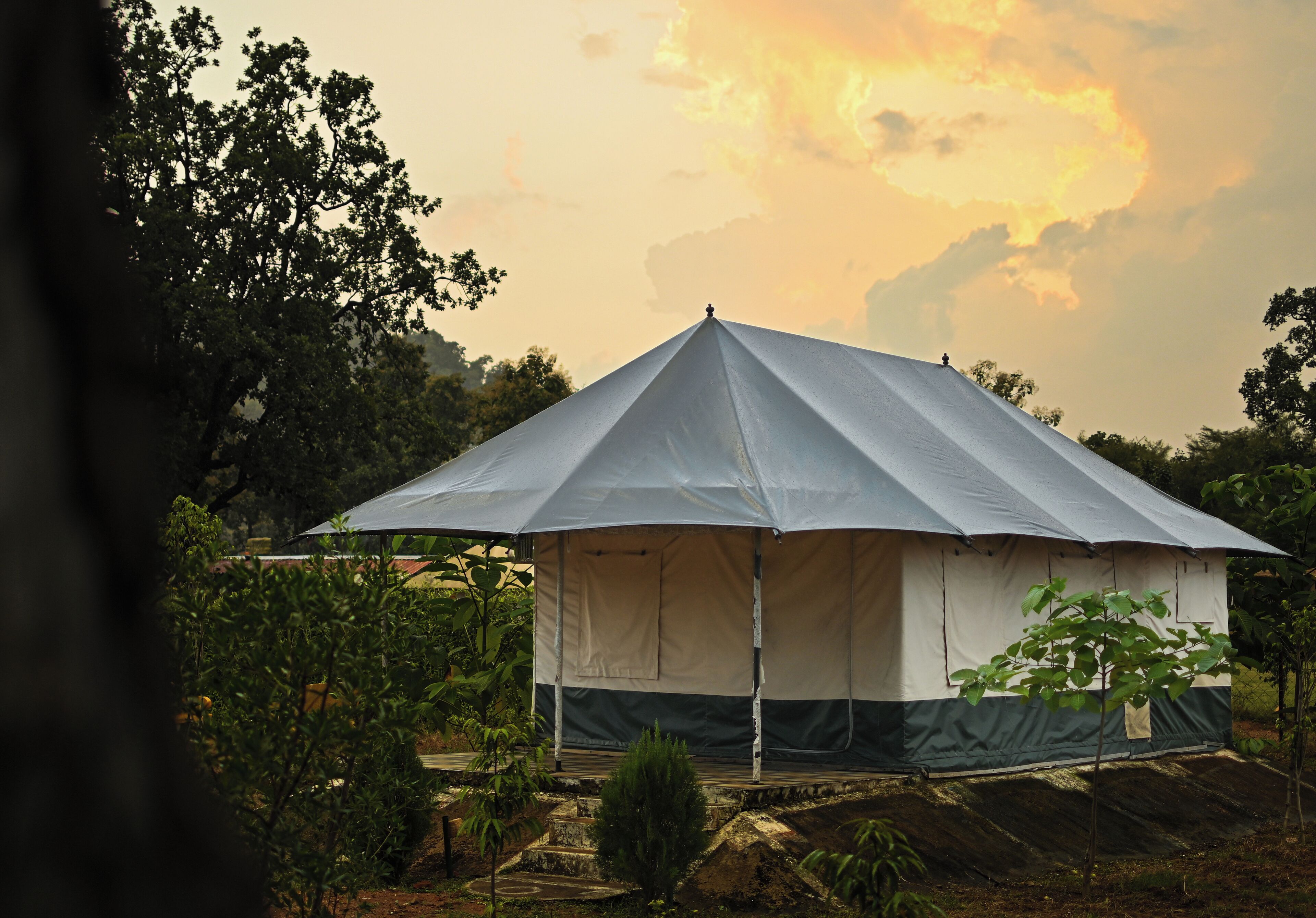 Una carpa grande y blanca con techo a dos aguas, rodeada de árboles y vegetación.