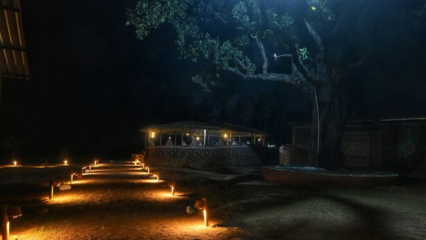 Un espacio al aire libre tenuemente iluminado, con un área de estar techada y un árbol.