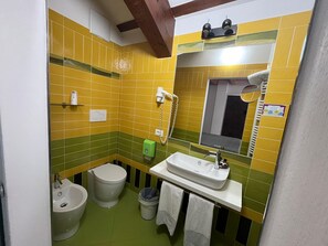 Regadera, secadora de cabello, bidet, toallas 