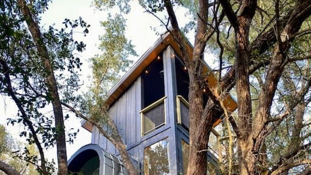 Une cabane dans les arbres à plusieurs niveaux, construite autour des arbres et entre eux, dotée d’une terrasse en bois et de fenêtres en verre.