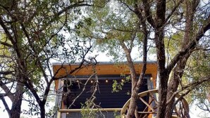 Une cabane dans les arbres avec une structure extérieure en bois, un balcon et une échelle en corde.