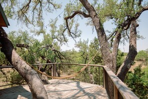 Property grounds - Live Oak Treehouse at The Meadow (Fredericksburg)