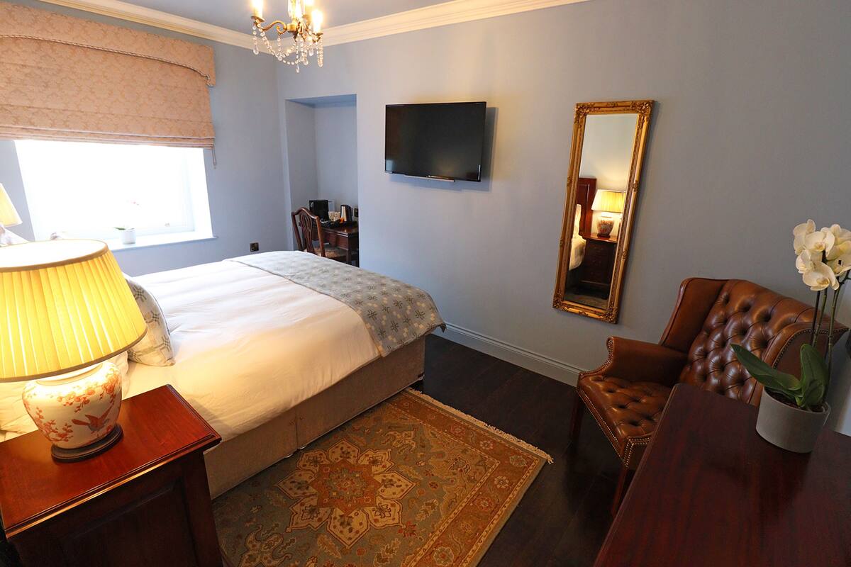 Un dormitorio con cama, mesita de noche, lámpara, televisor, espejo, silla y una planta en maceta.