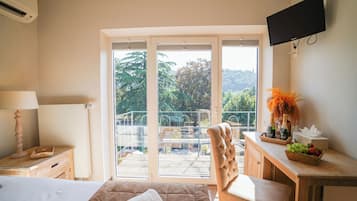 Habitació estàndard, vistes al jardí | Vista des de l'habitació