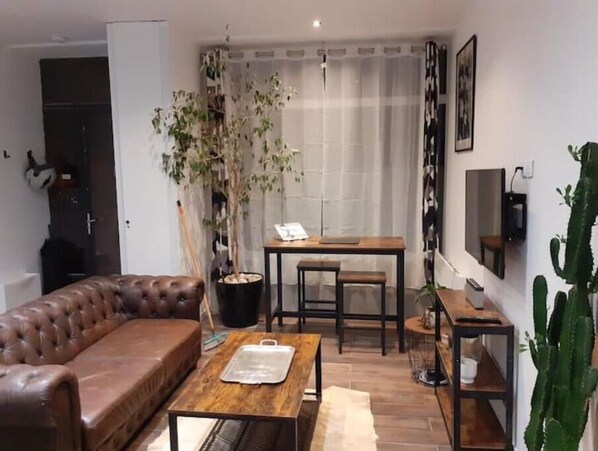 Smart TV, books, computer monitors - Le Cocon (Dijon)