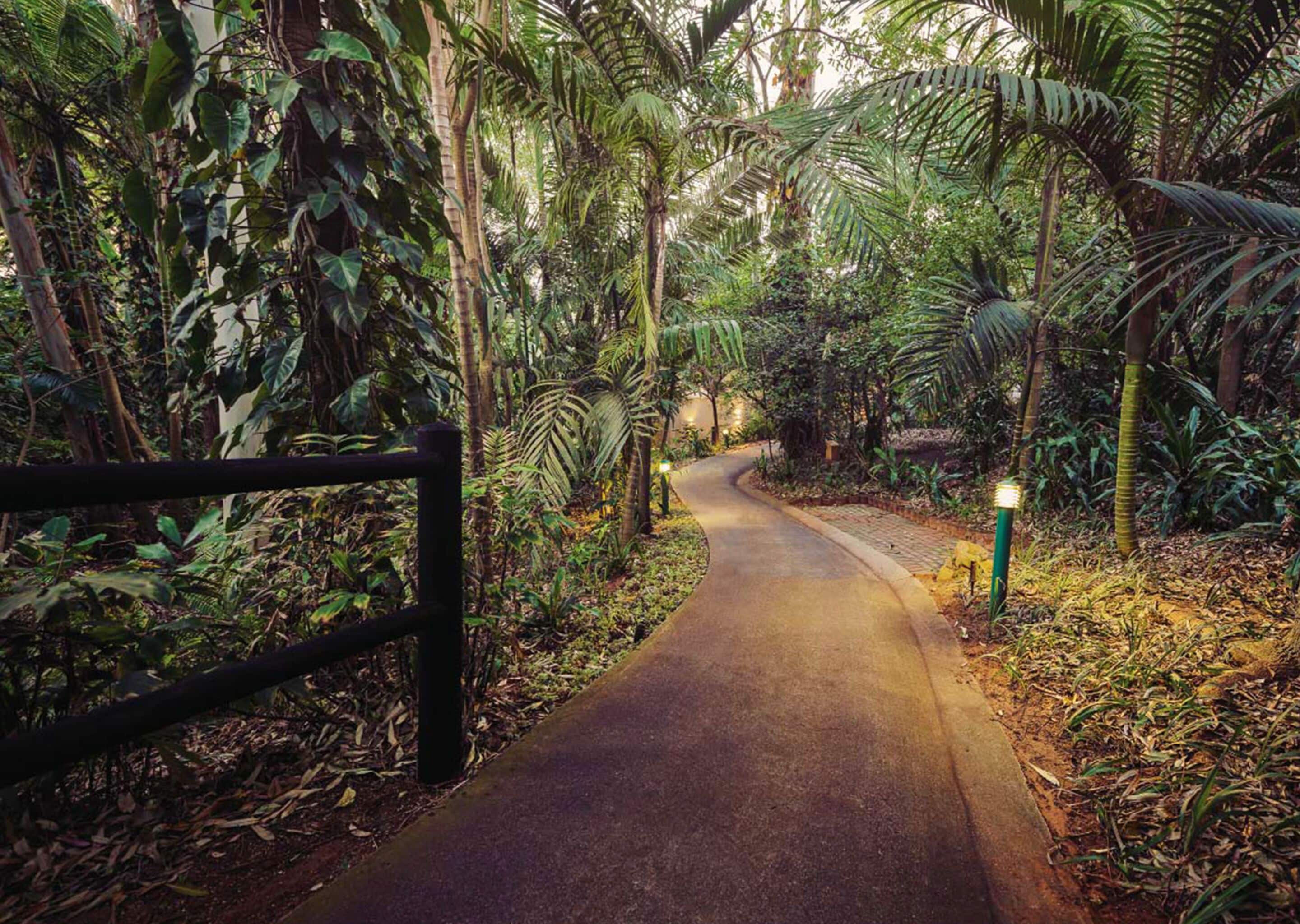Un sentier pavé traverse une zone boisée verdoyante et luxuriante, bordée d’une clôture en bois d’un côté et d’un lampadaire de l’autre.