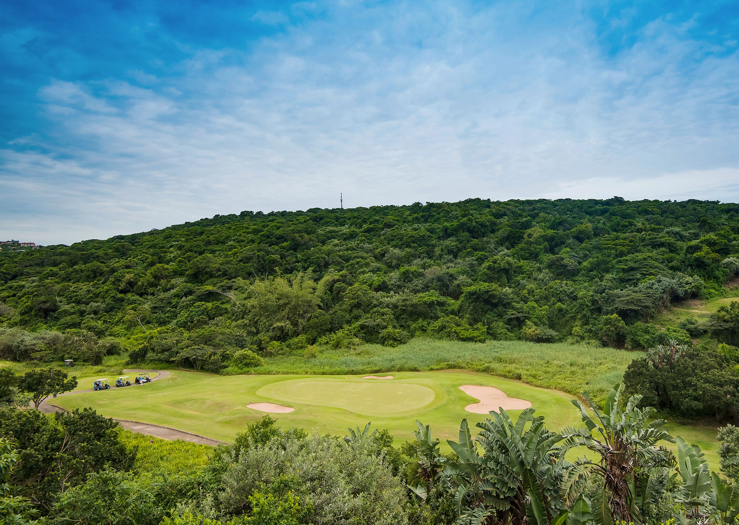 A golf course with a lush green landscape, a clear sky, and a forested hill in the background.