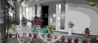 One Piece Homestay