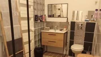 Hair dryer, towels, toilet paper