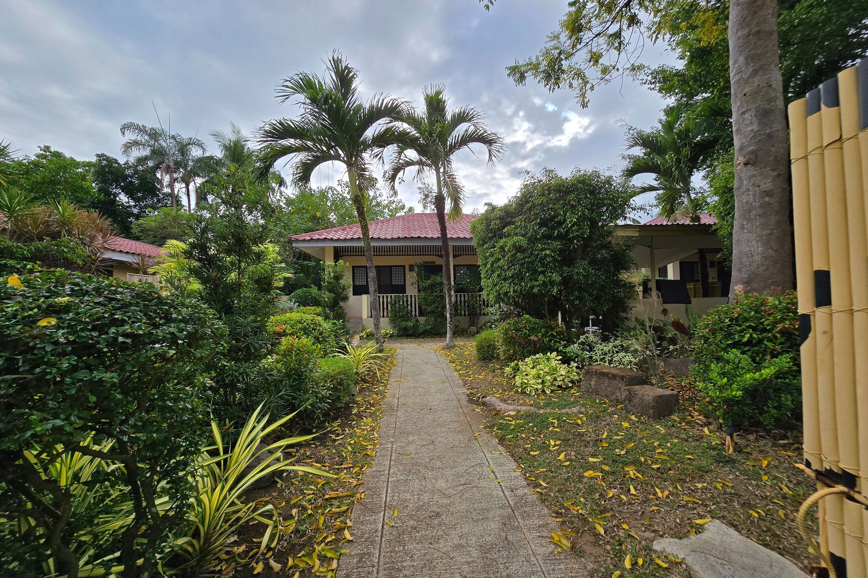 A pathway leading to a building with a red roof, surrounded by lush greenery and palm trees.
