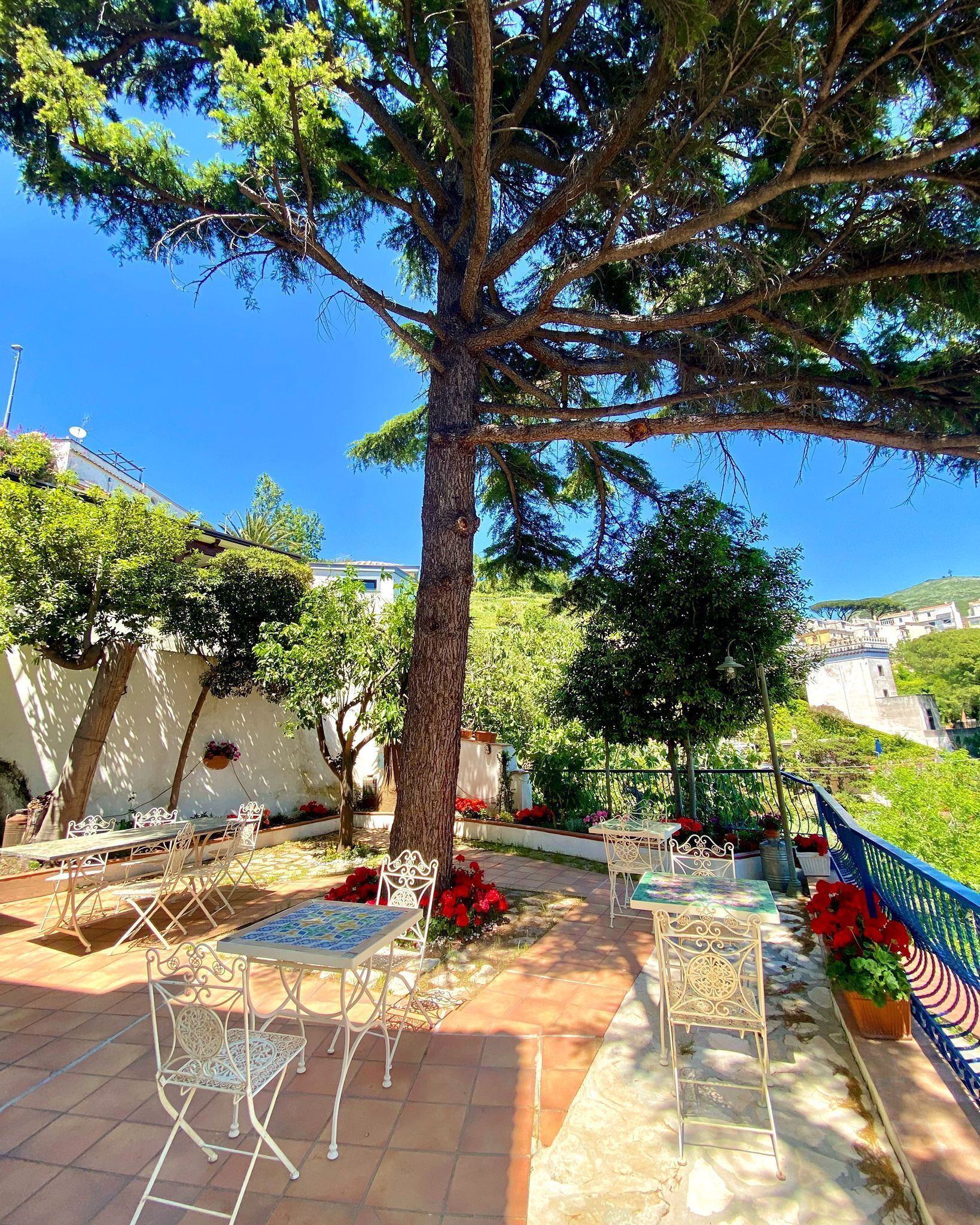 A patio with outdoor seating, a large tree, and a view of the surrounding landscape.