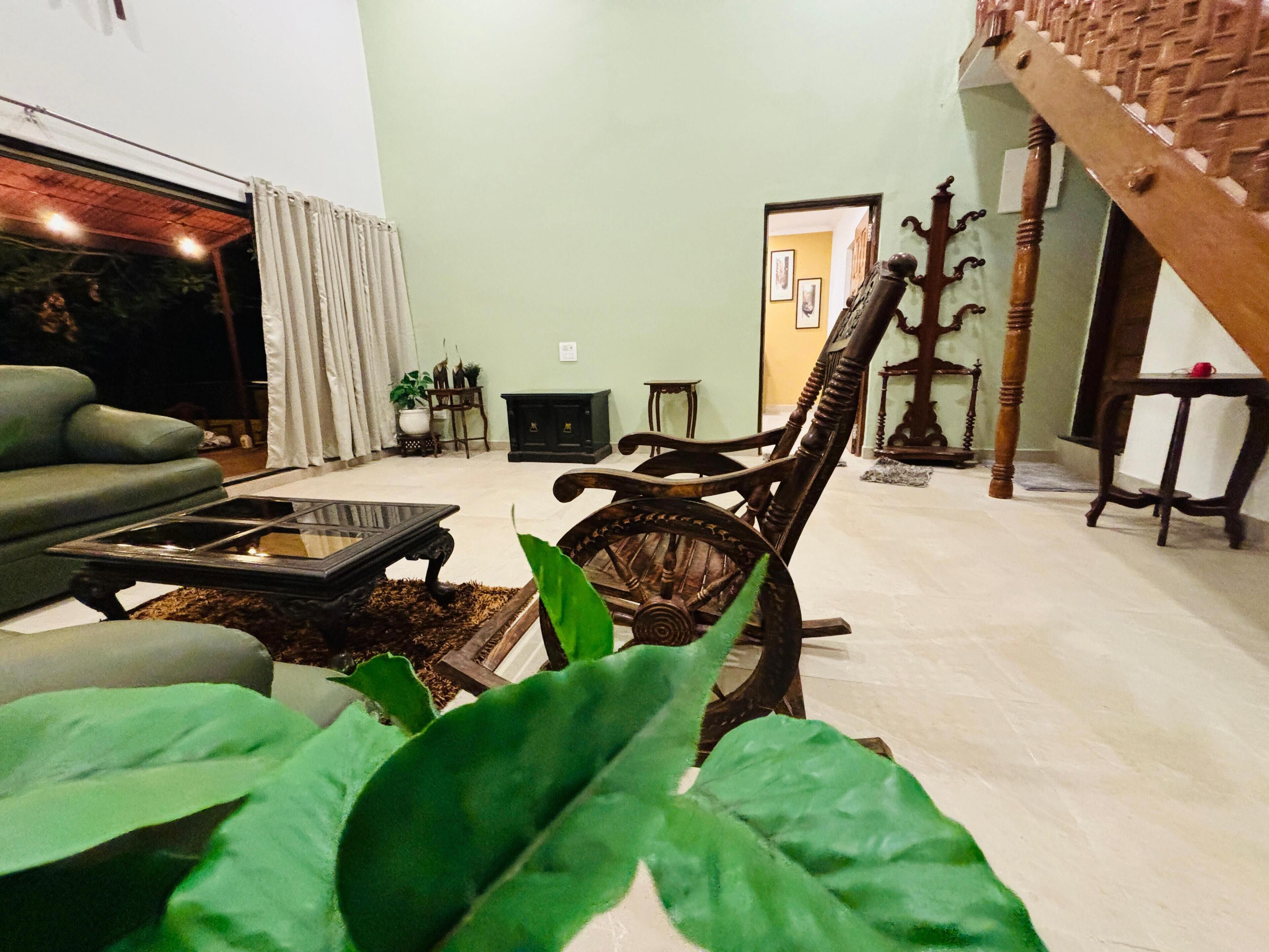 A living room with a sofa, a wooden chair, a coffee table, and a large green plant.