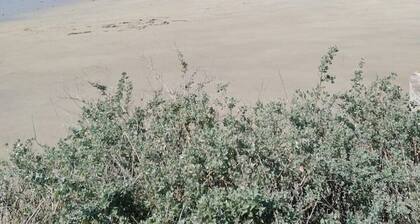 Spacious holiday house wi-fi included in Brittany