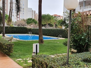 A swimming pool surrounded by well-maintained grass, palm trees, and a hedge.