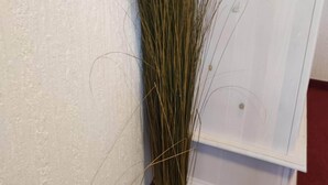 A bundle of tall, green reeds tied with a string, placed against a white wall next to a white cabinet. - Room in Guest Room - Pension Forelle - Doppelzimmer (Forbach)