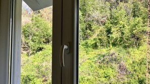 Une fenêtre dotée d’un cadre blanc et d’une poignée blanche, qui offre une vue sur un paysage verdoyant et luxuriant, avec des arbres et une clôture.