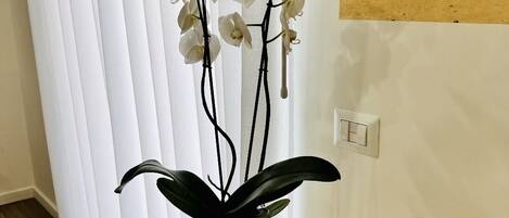 Una habitación con una mesa de madera, una planta de orquídea blanca en un florero blanco, dos velas y un termostato en la pared.