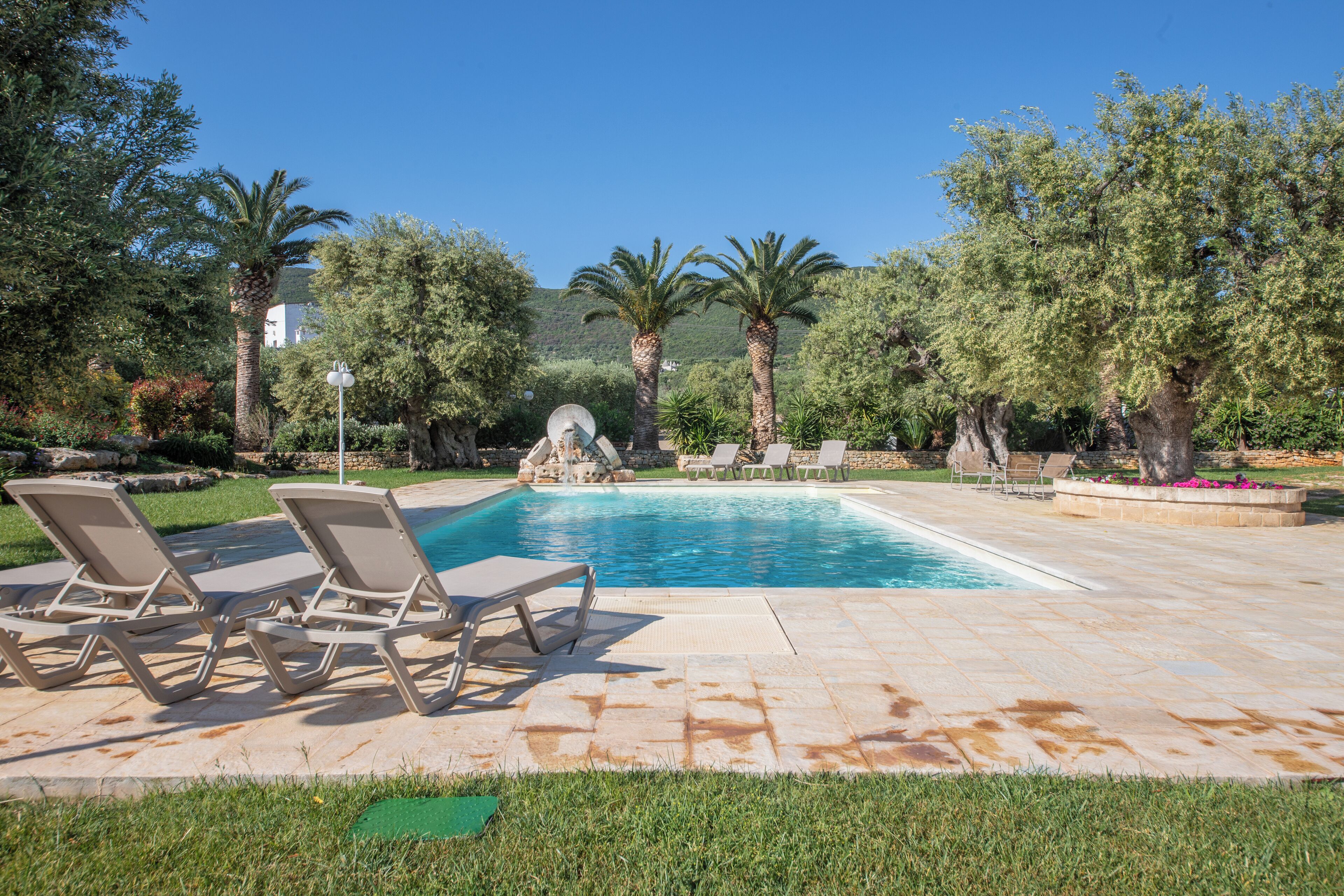 Una piscina con lettini e palme.