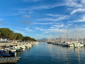 Un puerto deportivo con numerosos veleros amarrados a la orilla, una hilera de árboles bordeando el lado izquierdo y un cielo despejado.