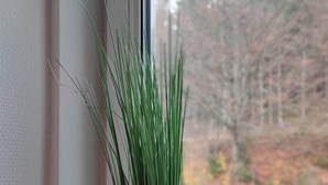 A window with a view of trees and a road outside. - Room in Guest Room - Pension Forelle - Double Room n01 (Forbach)