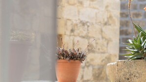 Una pared de piedra con una maceta de terracota y una planta en maceta con una sola flor.