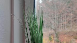 Une fenêtre donnant sur des arbres et une route.