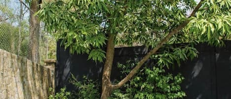 Alberca