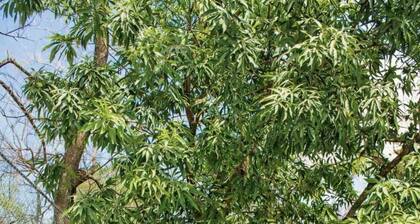 CASA SWELL C | COZY 2BR RETREAT NEAR BAKER'S BEACH