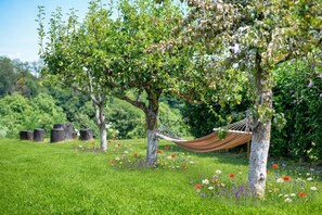 Family House, Multiple Bedrooms, 2 Bathrooms, Mountainside (Hedonistic Vineyard Estate with Hot) | Property grounds - Hedonistic Vineyard Estate (Ludbreg)