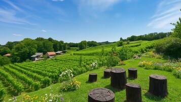 المنطقة المحيطة بالمنشأة