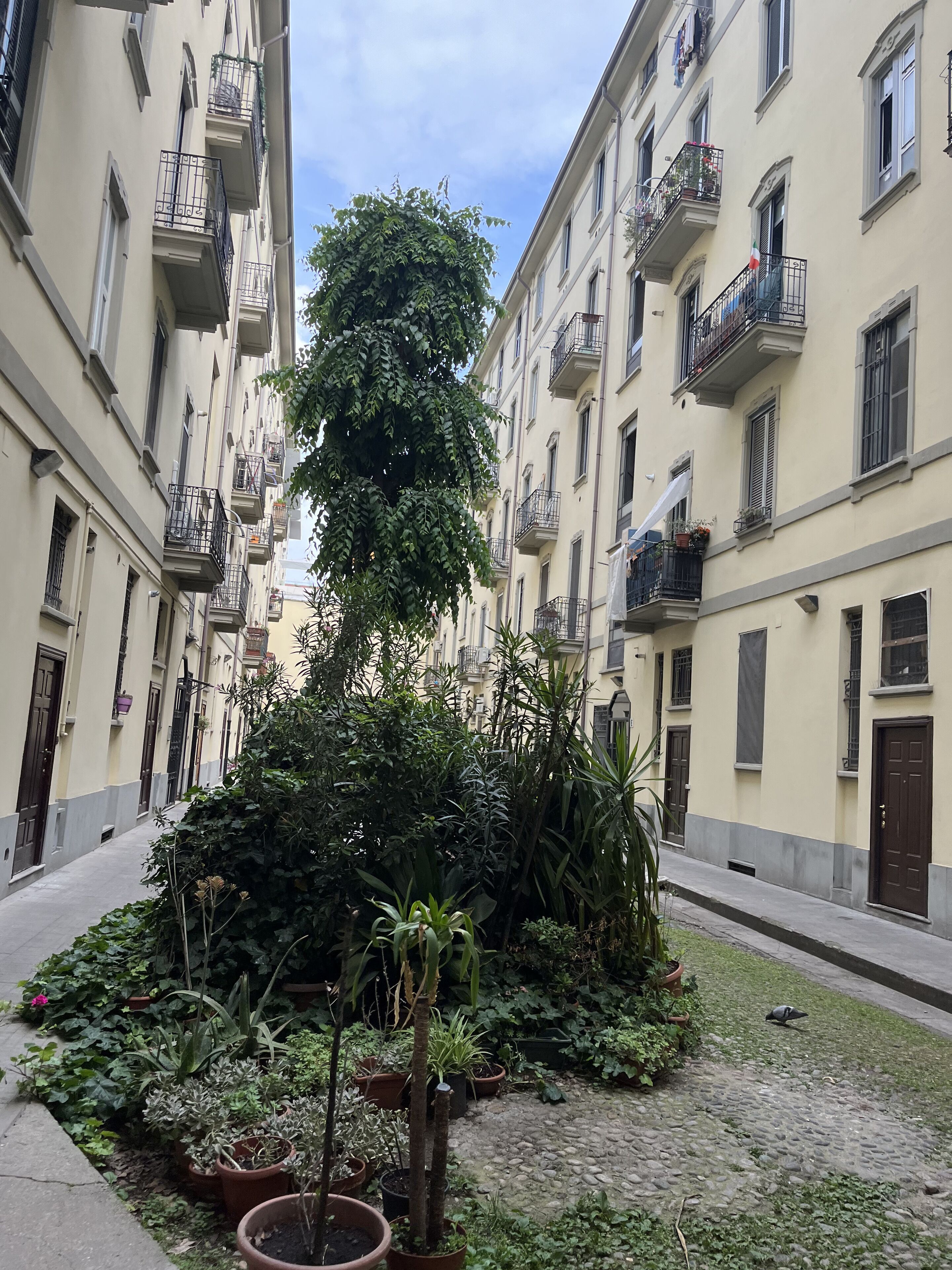 Apartment (1 Bedroom) | Interior