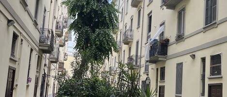 Apartment (1 Bedroom) | Interior